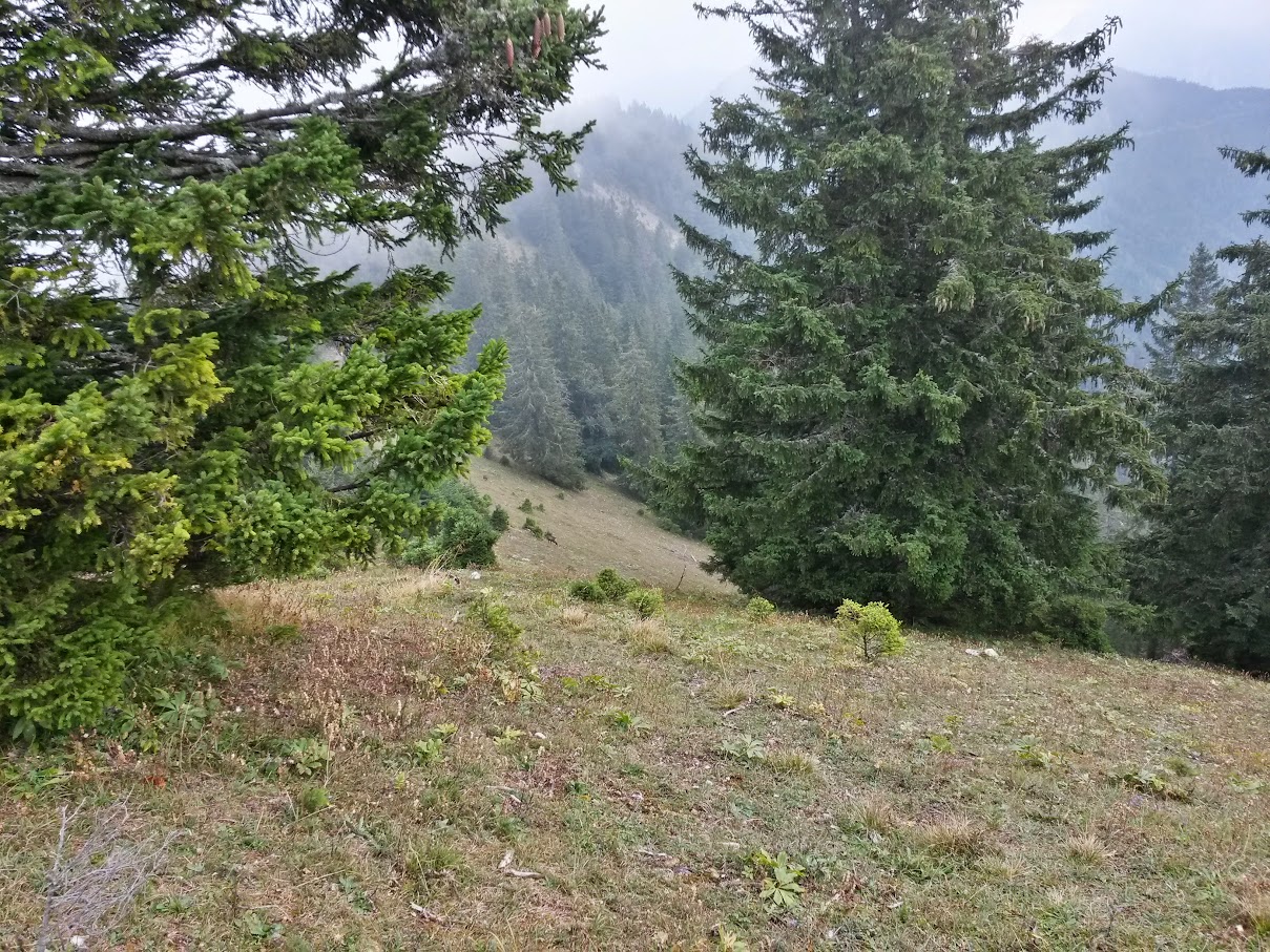 lh6.googleusercontent.com_-kvj3ocf7fee_vf14xf6_tii_aaaaaaaan7c_xnt7jois0nu_w1209-h907-no_20150919_110337_richtone_2528hdr_2529.jpg lh6.googleusercontent.com_-kvj3ocf7fee_vf14xf6_tii_aaaaaaaan7c_xnt7jois0nu_w1209-h907-no_20150919_110337_richtone_2528hdr_2529.jpg