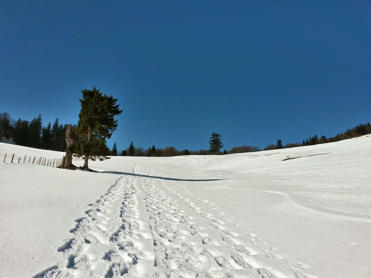 lh6.googleusercontent.com_-u9pnofigbds_voiitutizji_aaaaaaaahgm_gc9icltexjm_w1209-h907-no_20150221_111117_richtone_28hdr_29.jpg lh6.googleusercontent.com_-u9pnofigbds_voiitutizji_aaaaaaaahgm_gc9icltexjm_w1209-h907-no_20150221_111117_richtone_28hdr_29.jpg