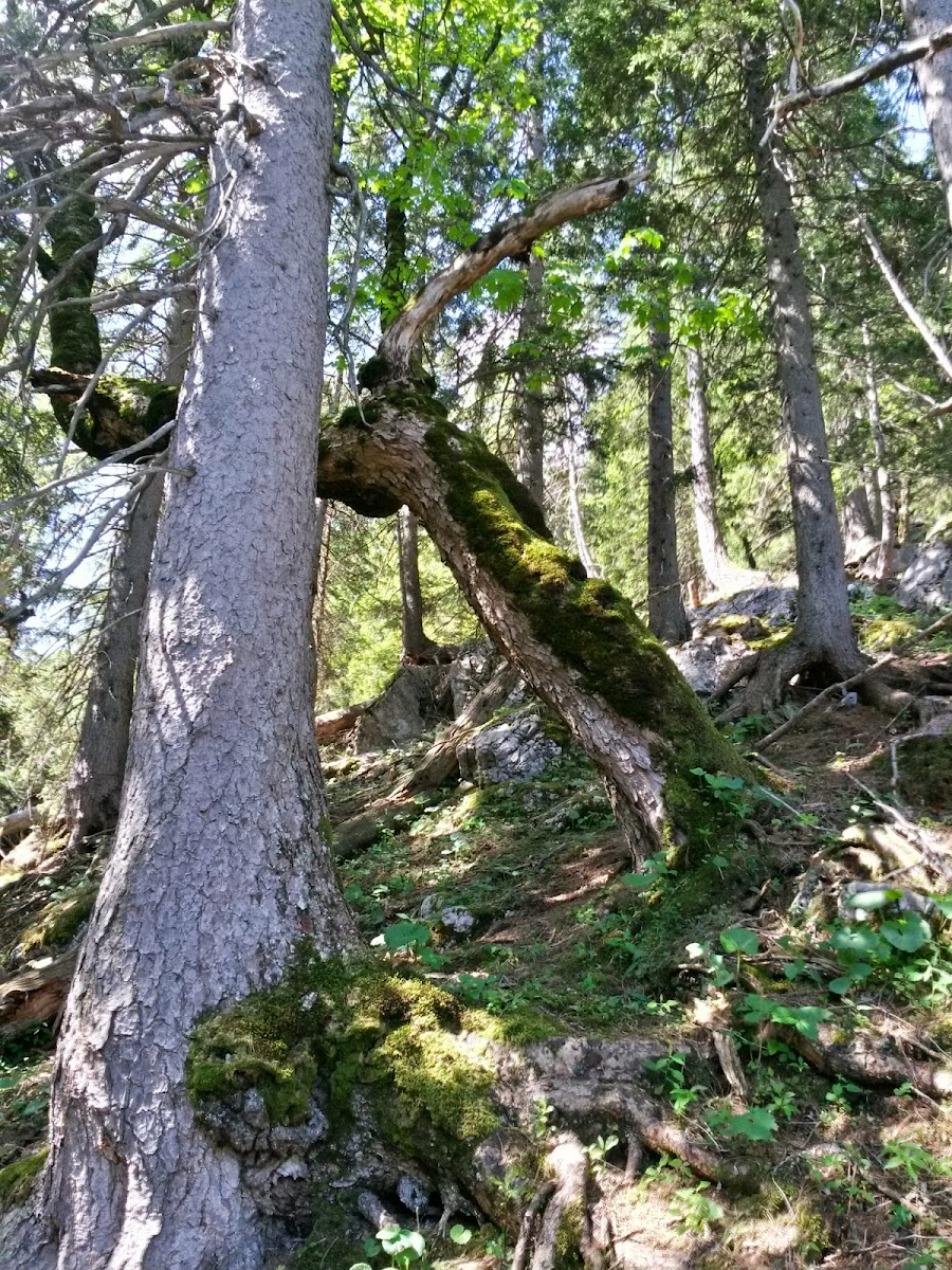 lh6.googleusercontent.com_-w0k52e_5-a8_u5c25aspudi_aaaaaaaazqm_rmncsgtl4ti_w900-h1200-no_20140610_103826_richtone_2528hdr_2529.jpg lh6.googleusercontent.com_-w0k52e_5-a8_u5c25aspudi_aaaaaaaazqm_rmncsgtl4ti_w900-h1200-no_20140610_103826_richtone_2528hdr_2529.jpg