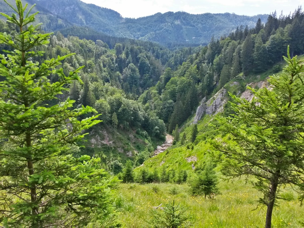 lh4.googleusercontent.com_-m-hpokvlosq_vafetk8njii_aaaaaaaamqi_ovt4h3tqdy4_w1209-h907-no_20150711_145356_richtone_2528hdr_2529.jpg lh4.googleusercontent.com_-m-hpokvlosq_vafetk8njii_aaaaaaaamqi_ovt4h3tqdy4_w1209-h907-no_20150711_145356_richtone_2528hdr_2529.jpg