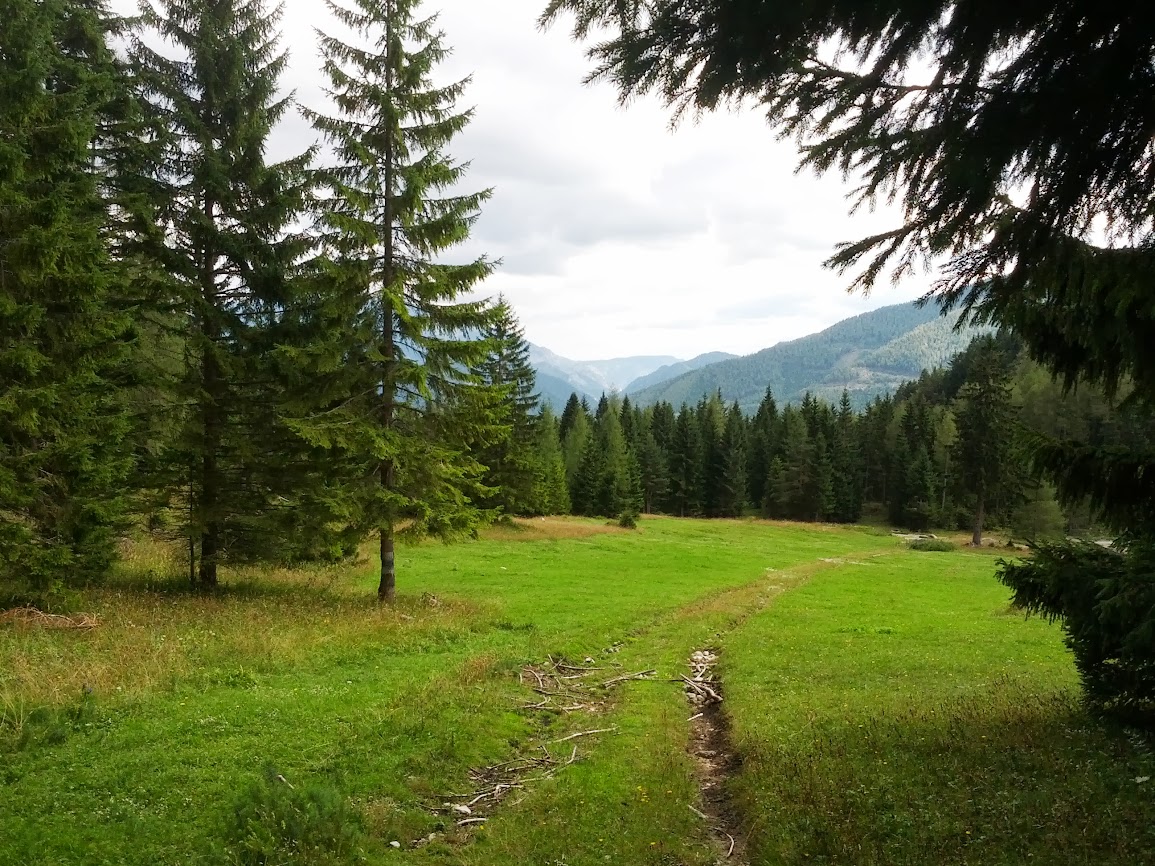 lh6.googleusercontent.com_-mvfa0-uy7mu_ujsxgnf4h9i_aaaaaaaaqwi_vd2cqewownk_w1155-h866-no_img_20130914_134358.jpg lh6.googleusercontent.com_-mvfa0-uy7mu_ujsxgnf4h9i_aaaaaaaaqwi_vd2cqewownk_w1155-h866-no_img_20130914_134358.jpg