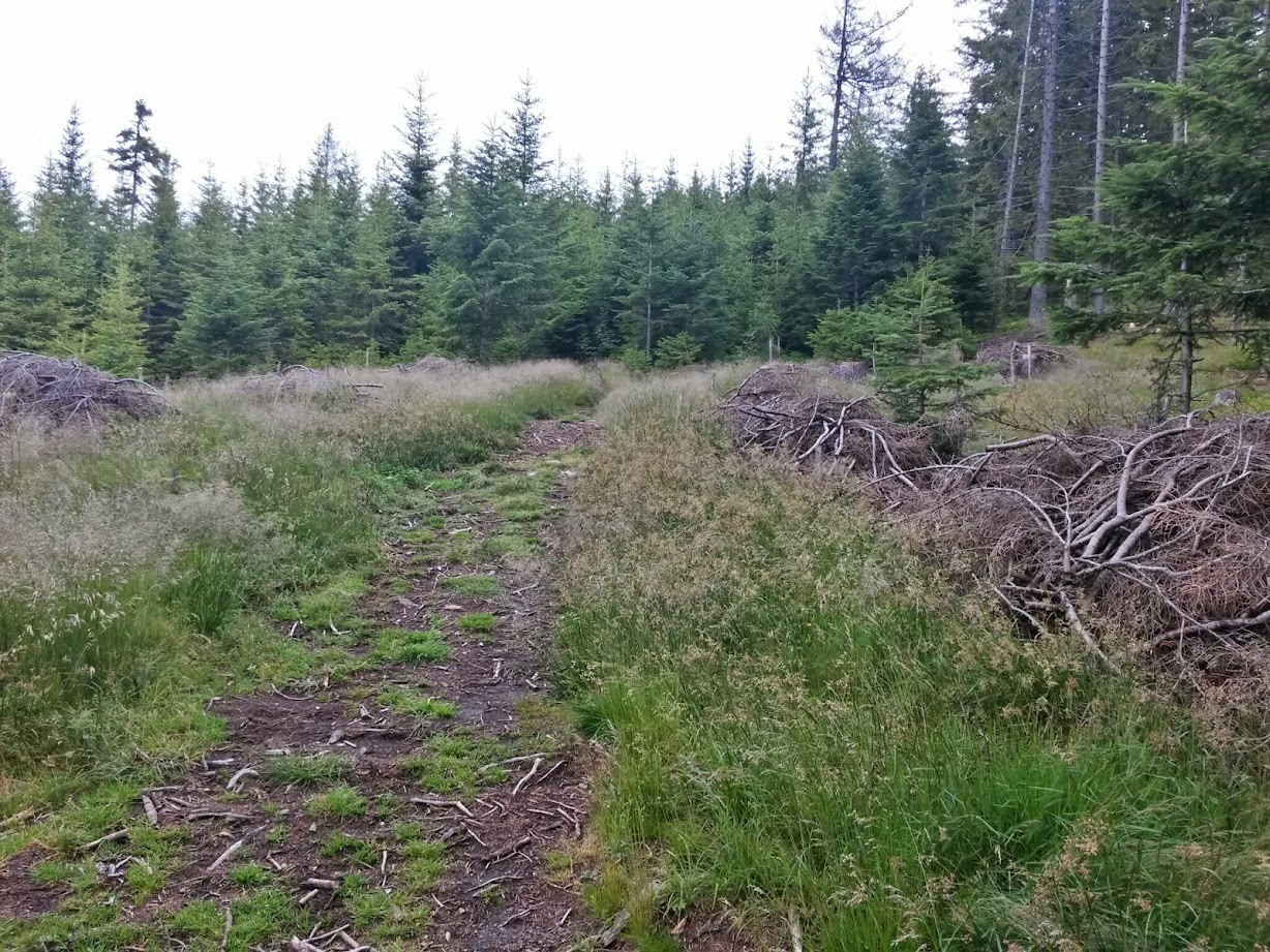 lh6.googleusercontent.com_-lanlwdpibhq_u8fy1r8jwqi_aaaaaaaabem_due4fyn75ec_w1228-h921-no_20140712_093126_richtone_2528hdr_2529.jpg lh6.googleusercontent.com_-lanlwdpibhq_u8fy1r8jwqi_aaaaaaaabem_due4fyn75ec_w1228-h921-no_20140712_093126_richtone_2528hdr_2529.jpg