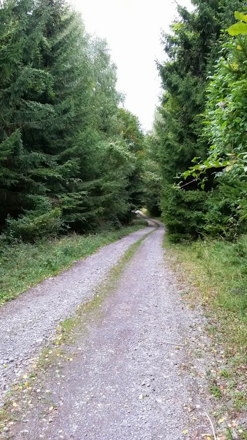 lh3.googleusercontent.com_-dgs9cd9nzfo_ukglx4wnn9i_aaaaaaaaqvw_6bgd7gpwwqc_w487-h866-no_20130929_124455.jpg lh3.googleusercontent.com_-dgs9cd9nzfo_ukglx4wnn9i_aaaaaaaaqvw_6bgd7gpwwqc_w487-h866-no_20130929_124455.jpg