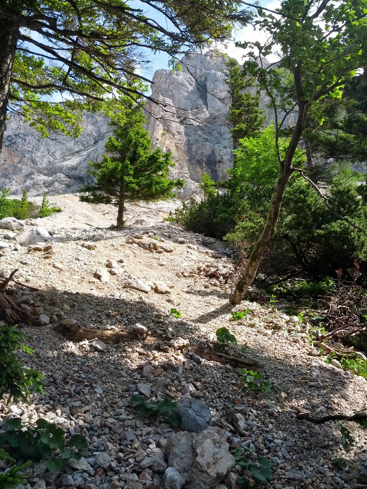 lh3.googleusercontent.com_-opcg6_igqoo_udagfb0rggi_aaaaaaaaogm_5ixb2orzjva_w1200-h1600-no_img_20130630_102719.jpg lh3.googleusercontent.com_-opcg6_igqoo_udagfb0rggi_aaaaaaaaogm_5ixb2orzjva_w1200-h1600-no_img_20130630_102719.jpg