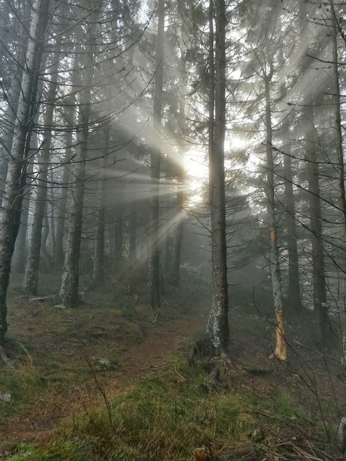 lh4.googleusercontent.com_-t49pzrukao4_vf9uqfjvwmi_aaaaaaaaeyw_xceyuhzumn4_w691-h921-no_20141109_092858_richtone_28hdr_29.jpg lh4.googleusercontent.com_-t49pzrukao4_vf9uqfjvwmi_aaaaaaaaeyw_xceyuhzumn4_w691-h921-no_20141109_092858_richtone_28hdr_29.jpg