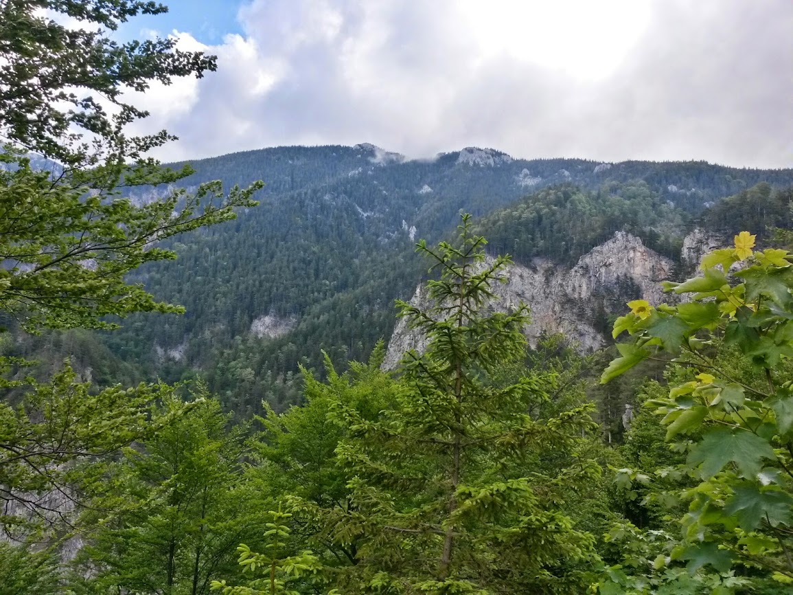 lh4.googleusercontent.com_-oejxn57hq3y_u4npnkvdpdi_aaaaaaaayj0_adoluvfq9ze_w1155-h866-no_20140531_092608_richtone_2528hdr_2529.jpg lh4.googleusercontent.com_-oejxn57hq3y_u4npnkvdpdi_aaaaaaaayj0_adoluvfq9ze_w1155-h866-no_20140531_092608_richtone_2528hdr_2529.jpg