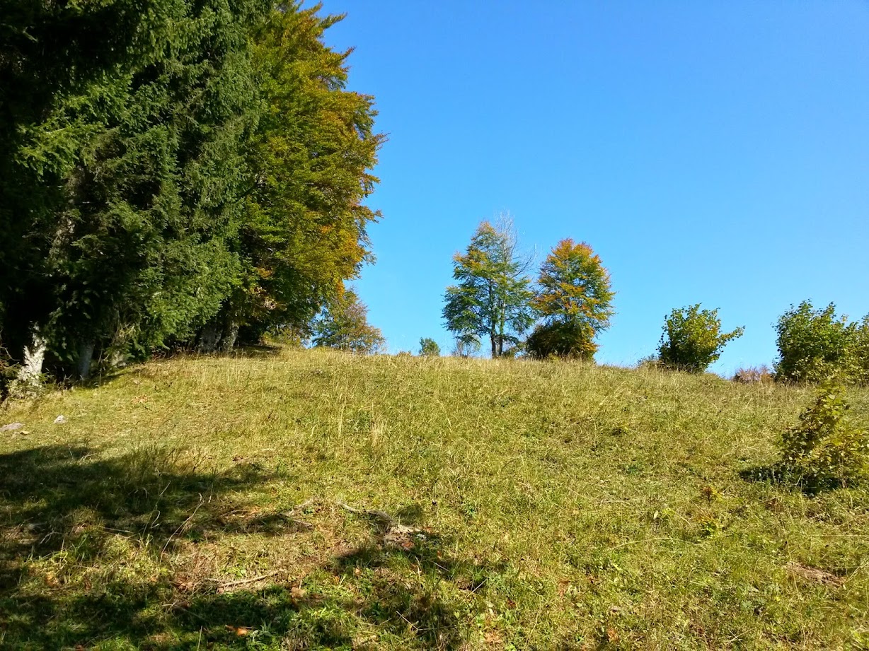 lh3.googleusercontent.com_-ny2itjodf-c_vdbbsqfgzri_aaaaaaaaeas_0tn9xwdtem4_w1228-h921-no_20141004_124817_richtone_28hdr_29.jpg lh3.googleusercontent.com_-ny2itjodf-c_vdbbsqfgzri_aaaaaaaaeas_0tn9xwdtem4_w1228-h921-no_20141004_124817_richtone_28hdr_29.jpg