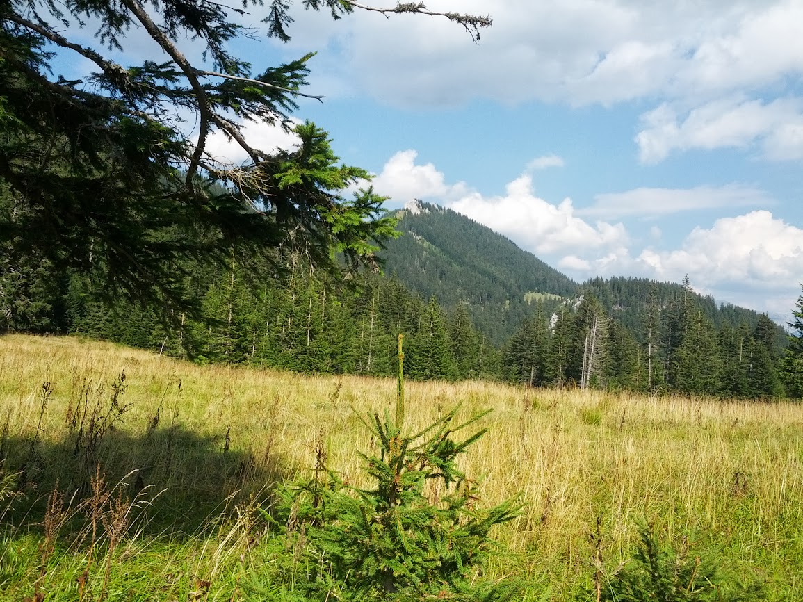 lh6.googleusercontent.com_-dqxskcuscuq_uiim4qvvtji_aaaaaaaaqc4_jnhf5fgbqam_w1155-h866-no_img_20130831_151736.jpg lh6.googleusercontent.com_-dqxskcuscuq_uiim4qvvtji_aaaaaaaaqc4_jnhf5fgbqam_w1155-h866-no_img_20130831_151736.jpg