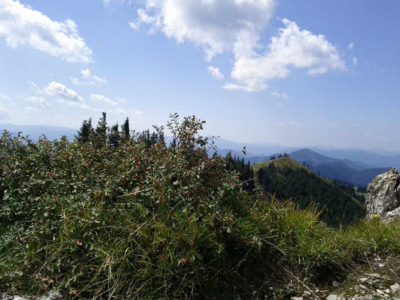 lh3.googleusercontent.com_-5ipbirtcavk_tlduf6sthpi_aaaaaaaaalo_jfsa8ujgo_k_w1278-h959-no_img_20110821_125243.jpg lh3.googleusercontent.com_-5ipbirtcavk_tlduf6sthpi_aaaaaaaaalo_jfsa8ujgo_k_w1278-h959-no_img_20110821_125243.jpg