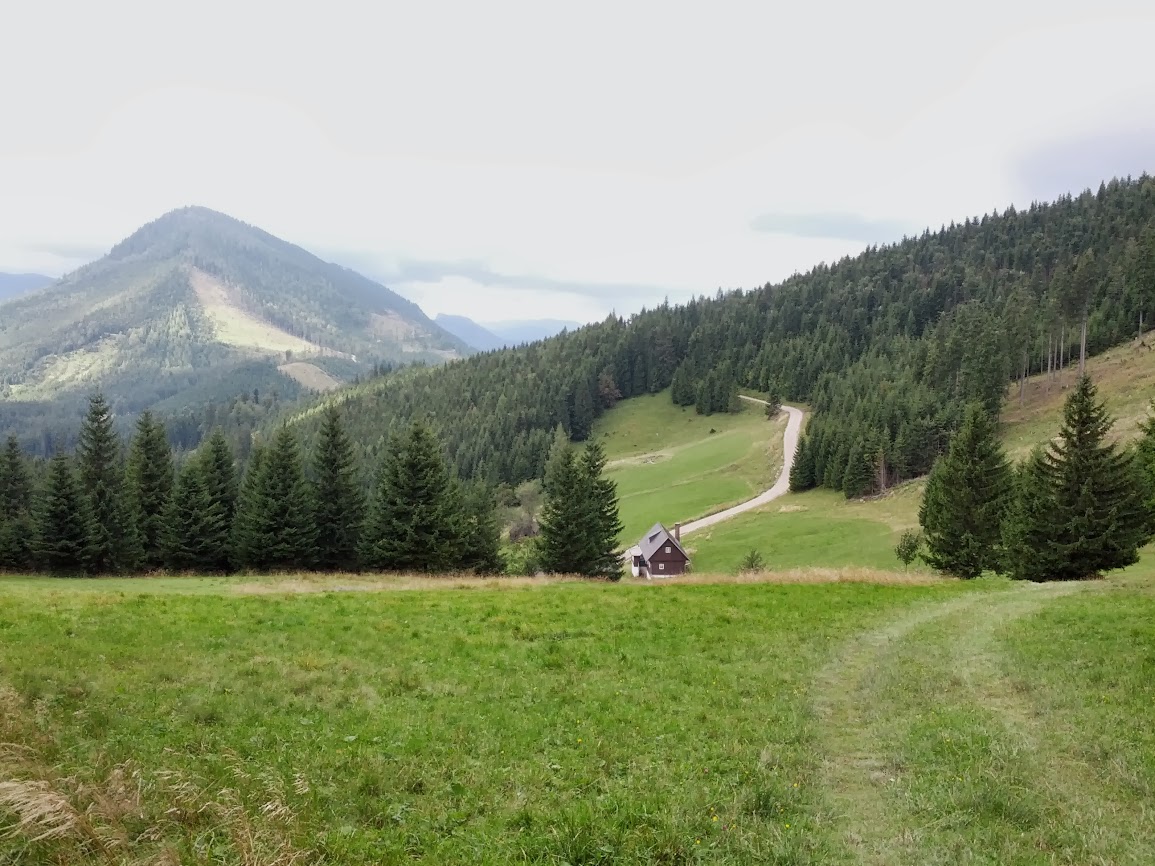 lh3.googleusercontent.com_-vtydepehmae_ujswg5loixi_aaaaaaaaqye_d8pfzxtqvtw_w1155-h866-no_img_20130914_100532.jpg lh3.googleusercontent.com_-vtydepehmae_ujswg5loixi_aaaaaaaaqye_d8pfzxtqvtw_w1155-h866-no_img_20130914_100532.jpg