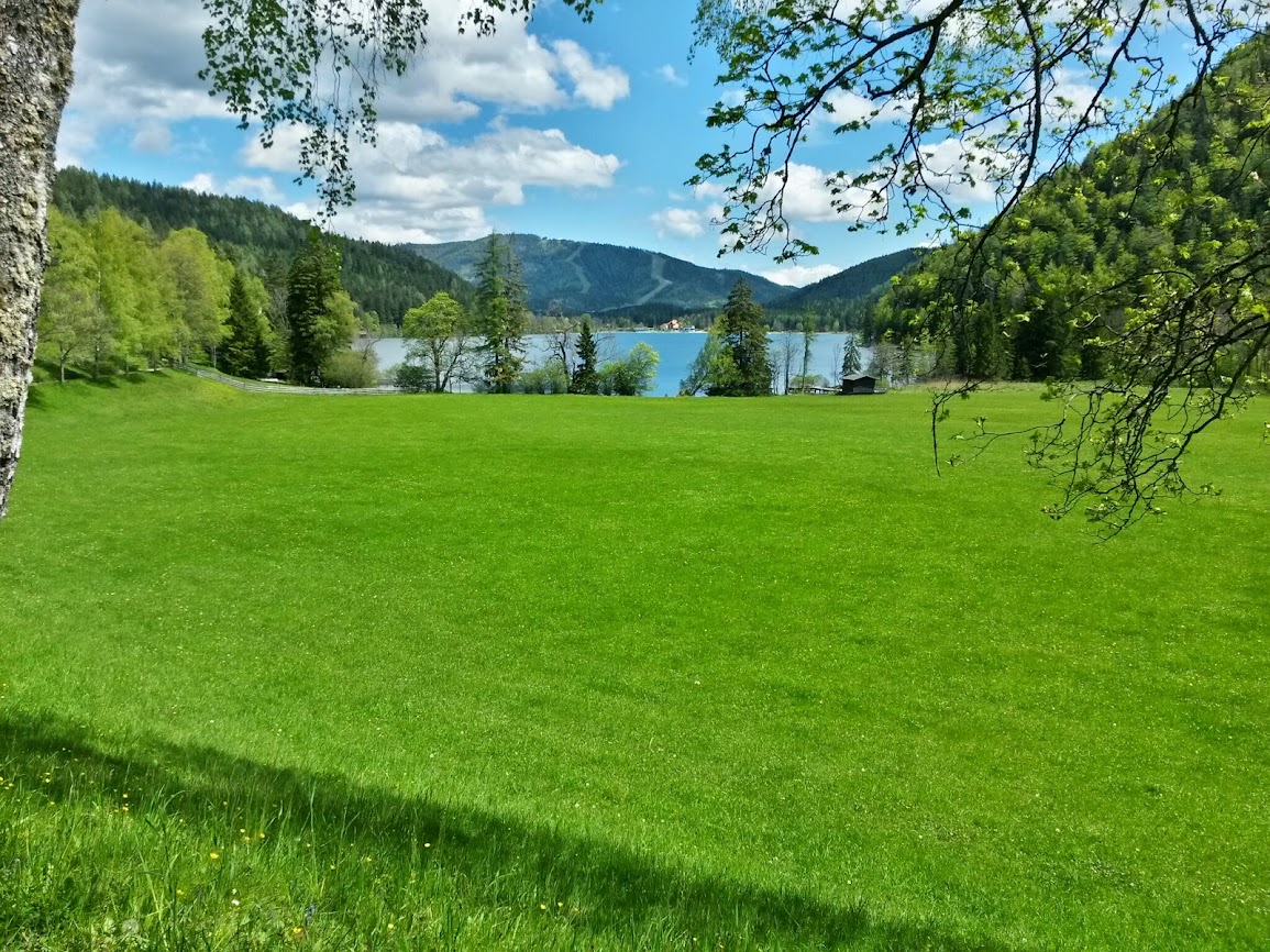 lh5.googleusercontent.com_-nbywzjotsn4_u25ceilr6_i_aaaaaaaaxrw_klfwnzjeiww_w1155-h866-no_20140510_134352_richtone_2528hdr_2529.jpg lh5.googleusercontent.com_-nbywzjotsn4_u25ceilr6_i_aaaaaaaaxrw_klfwnzjeiww_w1155-h866-no_20140510_134352_richtone_2528hdr_2529.jpg