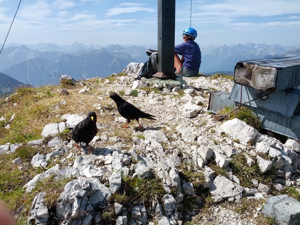 lh6.googleusercontent.com_-9ij87hyugtu_ufulm7p7-si_aaaaaaaao0m_kkqmqeet-sy_w1200-h900-no_img_20130728_104729.jpg lh6.googleusercontent.com_-9ij87hyugtu_ufulm7p7-si_aaaaaaaao0m_kkqmqeet-sy_w1200-h900-no_img_20130728_104729.jpg