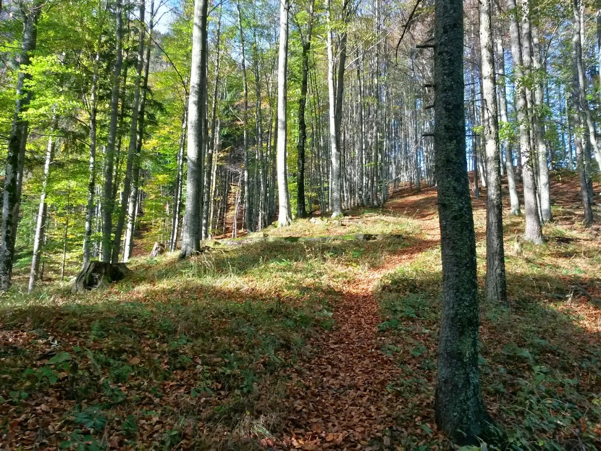 lh4.googleusercontent.com_-sufojucdjbc_vejw39tac6i_aaaaaaaaemq_zermjw3dnes_w1228-h921-no_20141018_100142_richtone_28hdr_29.jpg lh4.googleusercontent.com_-sufojucdjbc_vejw39tac6i_aaaaaaaaemq_zermjw3dnes_w1228-h921-no_20141018_100142_richtone_28hdr_29.jpg