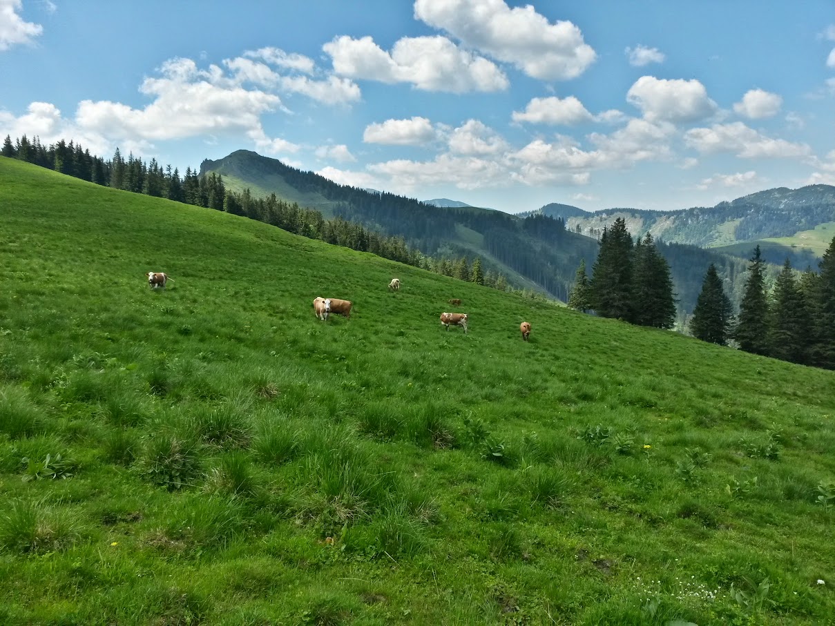 lh6.googleusercontent.com_-ry6btyohxni_vxl_2pttzri_aaaaaaaaj0y_jyz_0kgszga_w1209-h907-no_20150606_111226_richtone_2528hdr_2529.jpg lh6.googleusercontent.com_-ry6btyohxni_vxl_2pttzri_aaaaaaaaj0y_jyz_0kgszga_w1209-h907-no_20150606_111226_richtone_2528hdr_2529.jpg