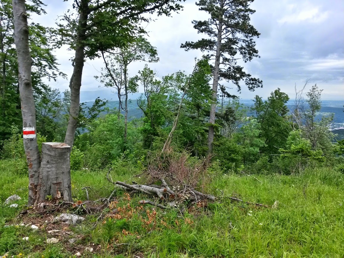 lh5.googleusercontent.com_-br0rpld74kc_u4cifsarhoi_aaaaaaaaygo_g5spjmy7rlq_w1155-h866-no_20140529_122634_richtone_2528hdr_2529.jpg lh5.googleusercontent.com_-br0rpld74kc_u4cifsarhoi_aaaaaaaaygo_g5spjmy7rlq_w1155-h866-no_20140529_122634_richtone_2528hdr_2529.jpg