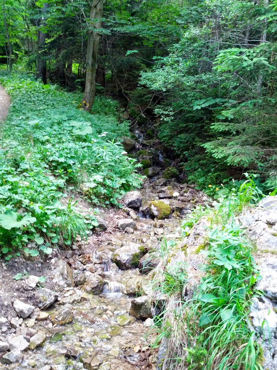 lh4.googleusercontent.com_-zslpn0mjzqg_ucwszukk-si_aaaaaaaan-s_jlbxvd6vwcu_w900-h1200-no_img_20130622_123928.jpg lh4.googleusercontent.com_-zslpn0mjzqg_ucwszukk-si_aaaaaaaan-s_jlbxvd6vwcu_w900-h1200-no_img_20130622_123928.jpg