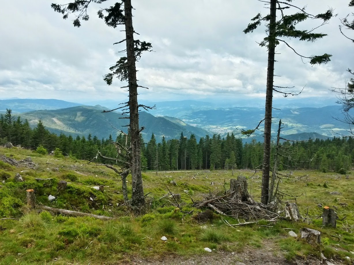 lh6.googleusercontent.com_-clv0vzuddq8_u8fy566zzyi_aaaaaaaabeo_9ddg36baekm_w1228-h921-no_20140712_100646_richtone_2528hdr_2529.jpg lh6.googleusercontent.com_-clv0vzuddq8_u8fy566zzyi_aaaaaaaabeo_9ddg36baekm_w1228-h921-no_20140712_100646_richtone_2528hdr_2529.jpg