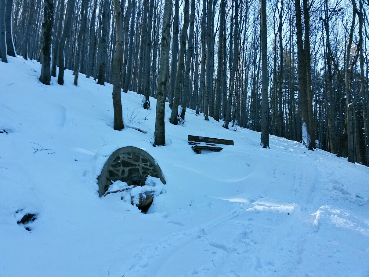 lh5.googleusercontent.com_-juxrhjtmfhg_vn9ngufbn6i_aaaaaaaahze_3khuri0x7we_w1209-h907-no_20150214_111608_richtone_28hdr_29.jpg lh5.googleusercontent.com_-juxrhjtmfhg_vn9ngufbn6i_aaaaaaaahze_3khuri0x7we_w1209-h907-no_20150214_111608_richtone_28hdr_29.jpg