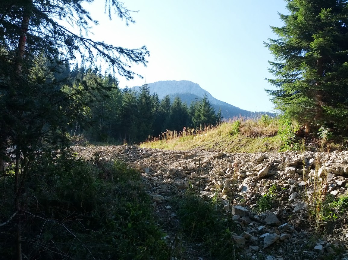 lh3.googleusercontent.com_-tyeipaxv-wm_ug-hlmqm74i_aaaaaaaappq_bou6pfanc4w_w1155-h866-no_img_20130817_083414.jpg lh3.googleusercontent.com_-tyeipaxv-wm_ug-hlmqm74i_aaaaaaaappq_bou6pfanc4w_w1155-h866-no_img_20130817_083414.jpg