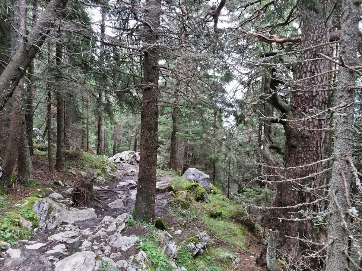 lh6.googleusercontent.com_-9n3frh1clc8_vbgzislwtmi_aaaaaaaadiy_laoaogauc1m_w1200-h900-no_20140911_110352_richtone_28hdr_29.jpg lh6.googleusercontent.com_-9n3frh1clc8_vbgzislwtmi_aaaaaaaadiy_laoaogauc1m_w1200-h900-no_20140911_110352_richtone_28hdr_29.jpg