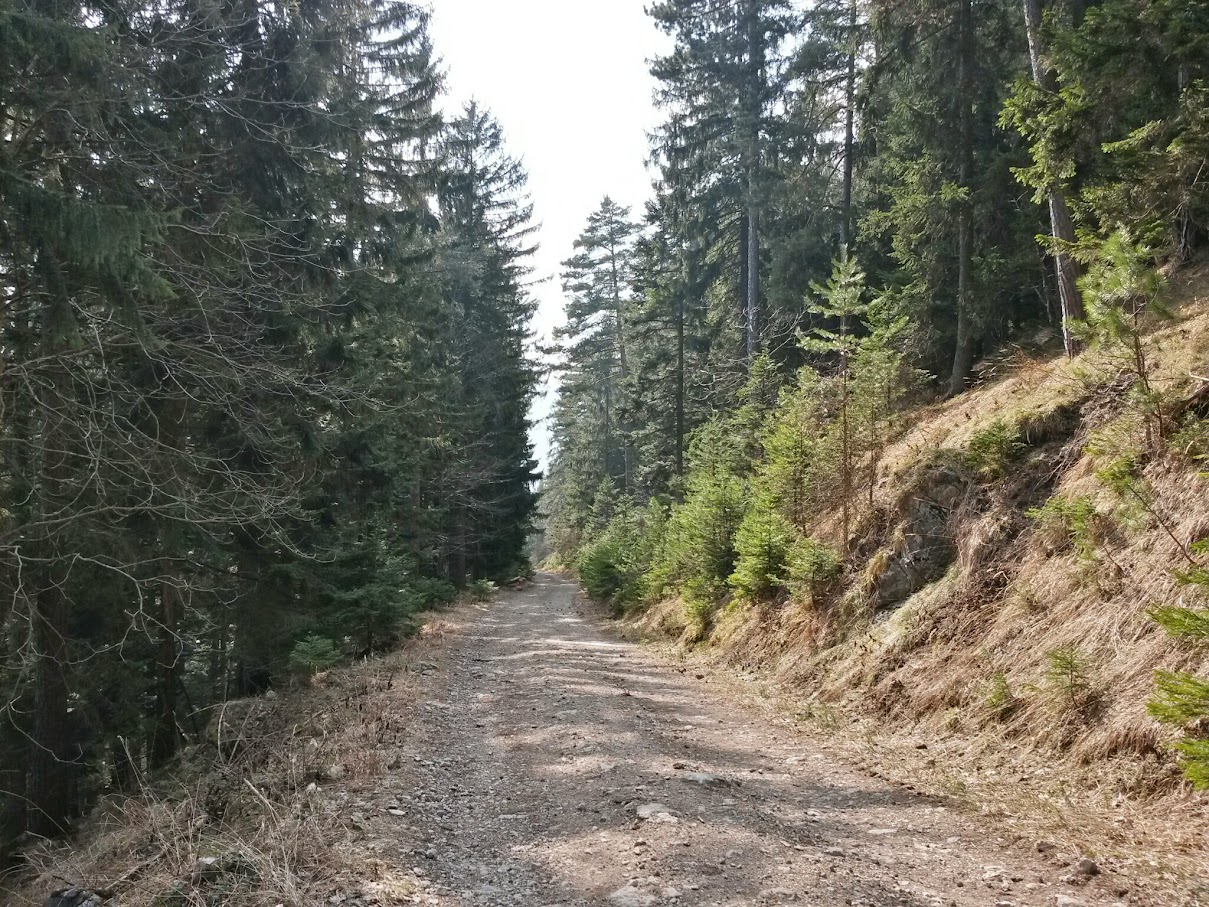 lh6.googleusercontent.com_-fdlpx5hcjay_vq2gjv0toxi_aaaaaaaaiac_n9-sbuclqfi_w1209-h907-no_20150321_131948_richtone_28hdr_29.jpg lh6.googleusercontent.com_-fdlpx5hcjay_vq2gjv0toxi_aaaaaaaaiac_n9-sbuclqfi_w1209-h907-no_20150321_131948_richtone_28hdr_29.jpg