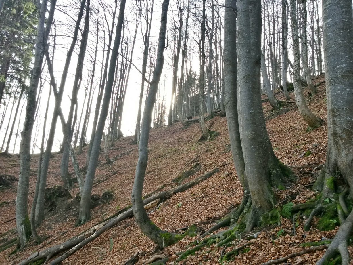 lh5.googleusercontent.com_-cpqdvezi8la_vgdsz6sc9qi_aaaaaaaae6k_liyka-qxxea_w1228-h921-no_20141115_111741_richtone_28hdr_29.jpg lh5.googleusercontent.com_-cpqdvezi8la_vgdsz6sc9qi_aaaaaaaae6k_liyka-qxxea_w1228-h921-no_20141115_111741_richtone_28hdr_29.jpg