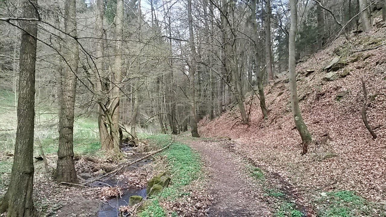 lh5.googleusercontent.com_-arnsbe1x3tg_vsu5vzfthgi_aaaaaaaaid8_d-ghqgle6gi_w1444-h813-no_20150413_111456_richtone_28hdr_29.jpg lh5.googleusercontent.com_-arnsbe1x3tg_vsu5vzfthgi_aaaaaaaaid8_d-ghqgle6gi_w1444-h813-no_20150413_111456_richtone_28hdr_29.jpg