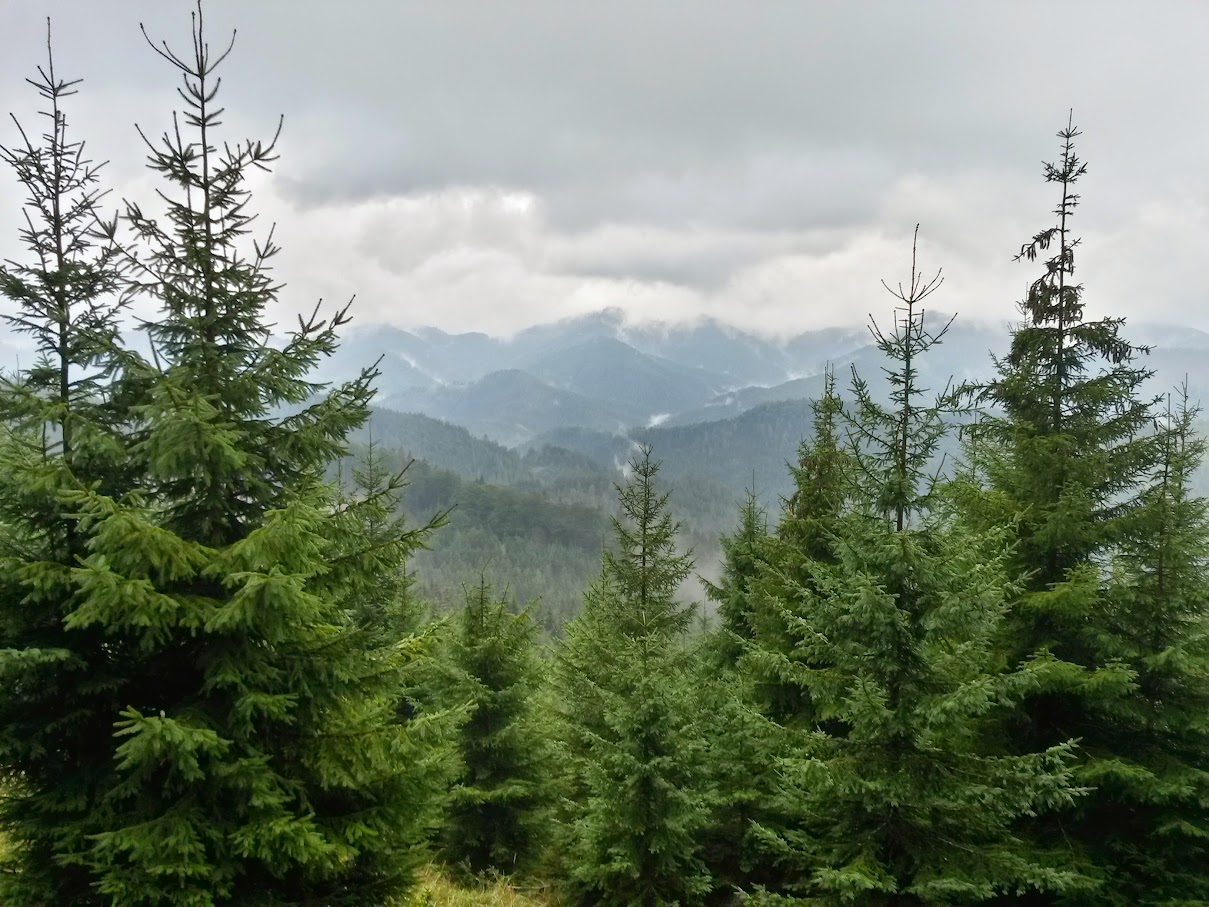 lh4.googleusercontent.com_-abtphnlfu24_vgaxlwvduxi_aaaaaaaaoce_1jcmhcnj9m_w1209-h907-no_20150926_112215_richtone_2528hdr_2529.jpg lh4.googleusercontent.com_-abtphnlfu24_vgaxlwvduxi_aaaaaaaaoce_1jcmhcnj9m_w1209-h907-no_20150926_112215_richtone_2528hdr_2529.jpg