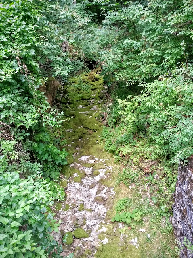 lh6.googleusercontent.com_-louk2kz6rls_vbnoefybcvi_aaaaaaaam2s_iagwvoart9y_w680-h907-no_20150725_104002_richtone_2528hdr_2529.jpg lh6.googleusercontent.com_-louk2kz6rls_vbnoefybcvi_aaaaaaaam2s_iagwvoart9y_w680-h907-no_20150725_104002_richtone_2528hdr_2529.jpg