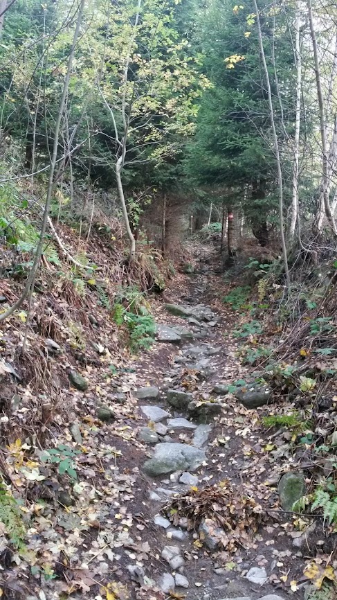 lh4.googleusercontent.com_-d-p2spzenqs_ullkw5ffs-i_aaaaaaaaq90_ym9zjpqiz1q_w487-h866-no_20131012_090019_richtone_2528hdr_2529.jpg lh4.googleusercontent.com_-d-p2spzenqs_ullkw5ffs-i_aaaaaaaaq90_ym9zjpqiz1q_w487-h866-no_20131012_090019_richtone_2528hdr_2529.jpg