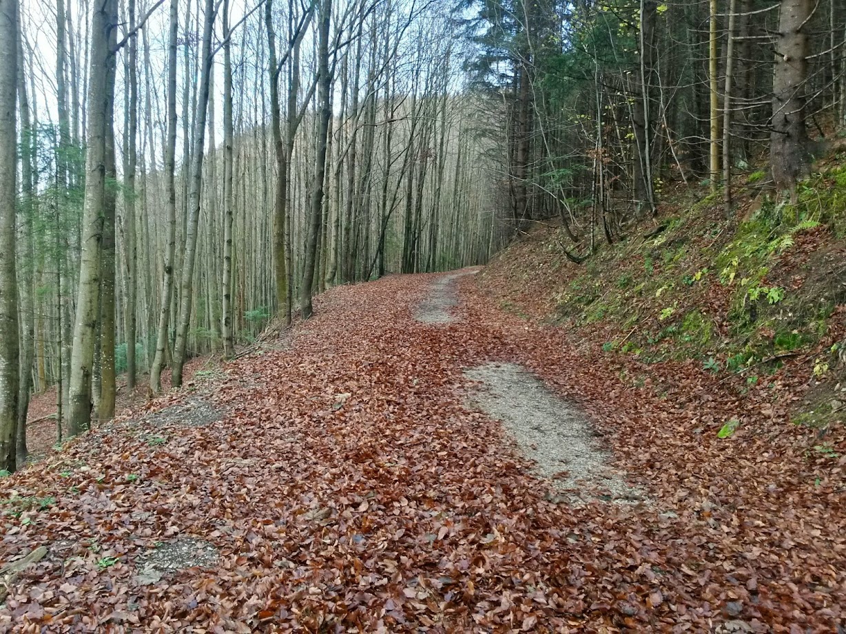 lh3.googleusercontent.com_-cnkq4ajoev0_vf9viodlsni_aaaaaaaaexc_bi9i2o2awhc_w1228-h921-no_20141109_125923_richtone_28hdr_29.jpg lh3.googleusercontent.com_-cnkq4ajoev0_vf9viodlsni_aaaaaaaaexc_bi9i2o2awhc_w1228-h921-no_20141109_125923_richtone_28hdr_29.jpg