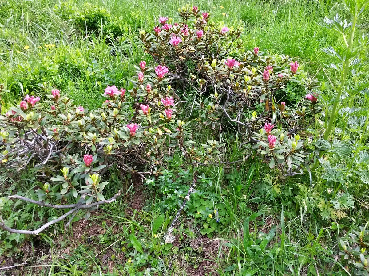 lh5.googleusercontent.com_-nasg2dbr_0q_vx0d79qugvi_aaaaaaaaknu_edk-g-wbu4a_w1200-h900-no_20150613_091839_richtone_2528hdr_2529.jpg lh5.googleusercontent.com_-nasg2dbr_0q_vx0d79qugvi_aaaaaaaaknu_edk-g-wbu4a_w1200-h900-no_20150613_091839_richtone_2528hdr_2529.jpg