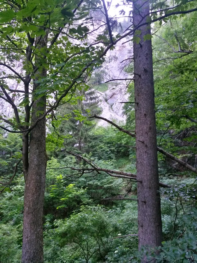 lh6.googleusercontent.com_-rjndzepjdyo_vzfkxx7co1i_aaaaaaaamdy_c6zg_e_klb0_w680-h907-no_20150704_064902_richtone_2528hdr_2529.jpg lh6.googleusercontent.com_-rjndzepjdyo_vzfkxx7co1i_aaaaaaaamdy_c6zg_e_klb0_w680-h907-no_20150704_064902_richtone_2528hdr_2529.jpg