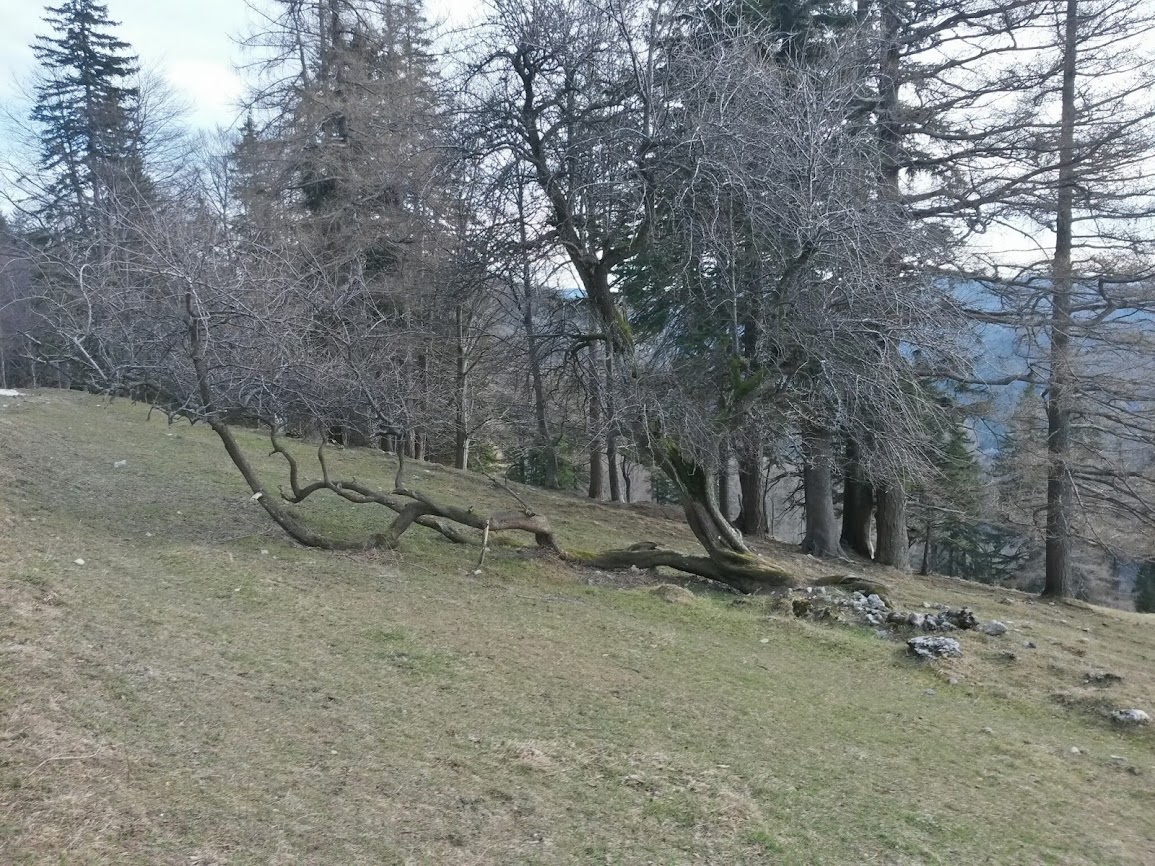 lh5.googleusercontent.com_-6qb9u1df55q_utfabgq6h6i_aaaaaaaaujy_8frswynnl0w_w1155-h866-no_20140111_121321_richtone_2528hdr_2529.jpg lh5.googleusercontent.com_-6qb9u1df55q_utfabgq6h6i_aaaaaaaaujy_8frswynnl0w_w1155-h866-no_20140111_121321_richtone_2528hdr_2529.jpg