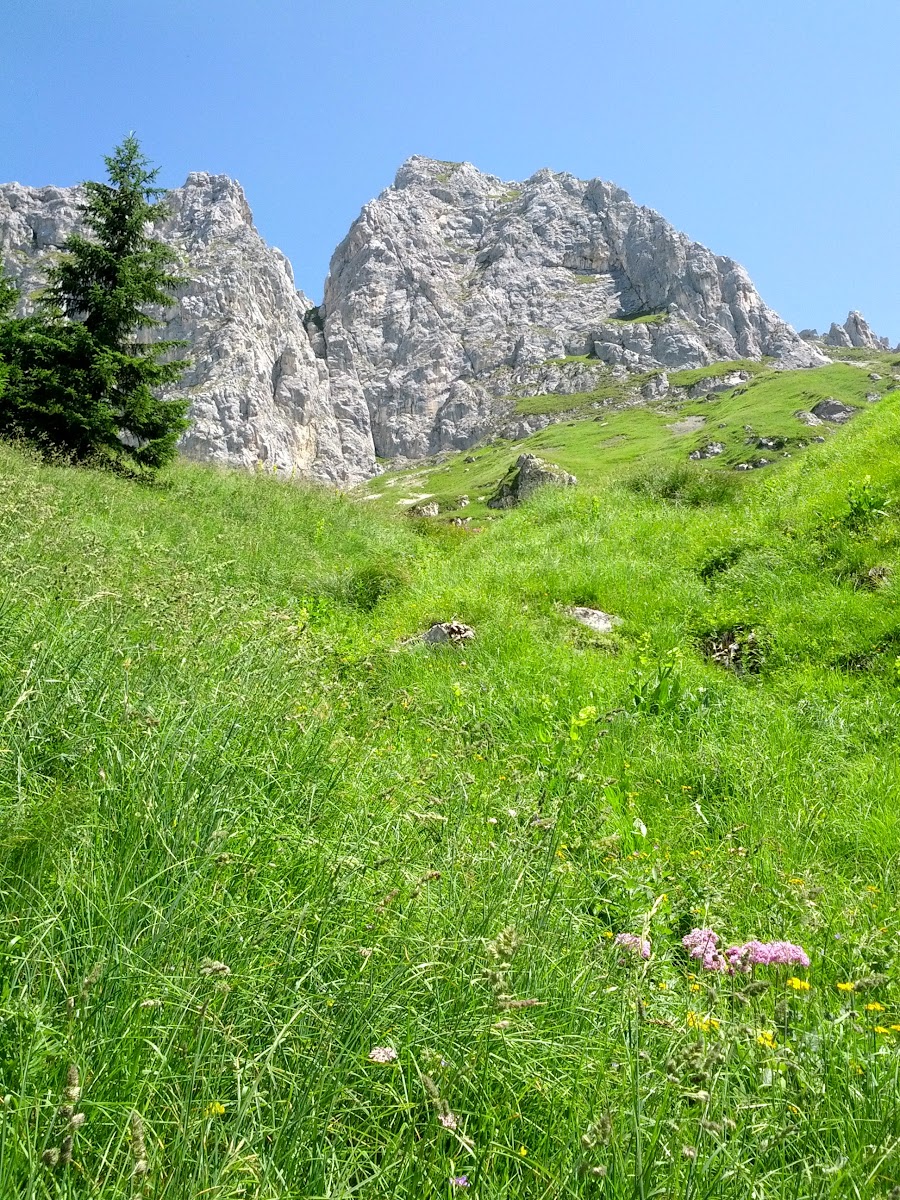 lh5.googleusercontent.com_-qkozwari6so_ufumooqx2ci_aaaaaaaao1i_fe5czfkzt5c_w900-h1200-no_img_20130728_120546.jpg lh5.googleusercontent.com_-qkozwari6so_ufumooqx2ci_aaaaaaaao1i_fe5czfkzt5c_w900-h1200-no_img_20130728_120546.jpg