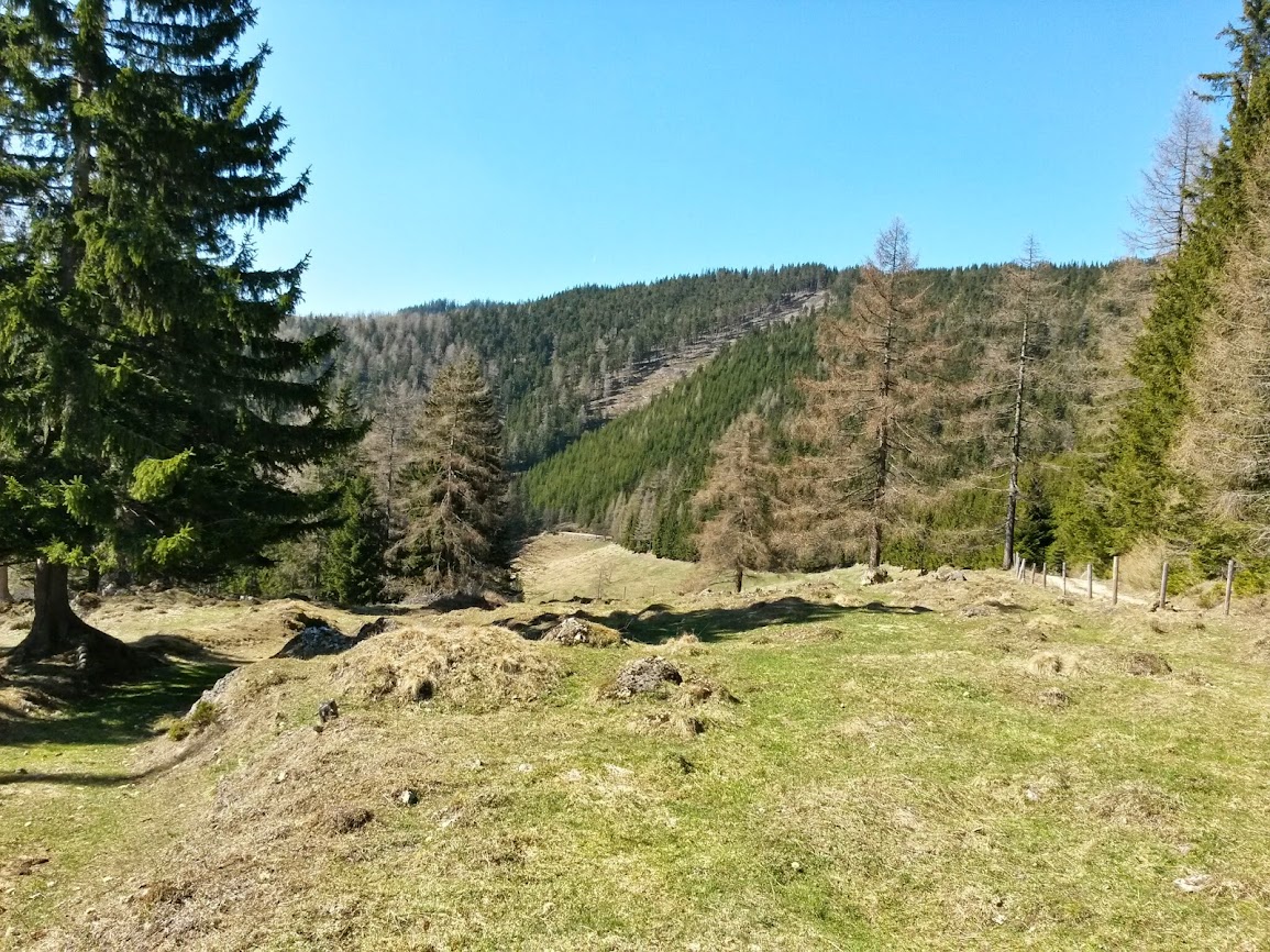 lh4.googleusercontent.com_-nvniy55x7uc_uzboea75nji_aaaaaaaaweg_5cjryny1qmu_w1155-h866-no_20140329_132517_richtone_2528hdr_2529.jpg lh4.googleusercontent.com_-nvniy55x7uc_uzboea75nji_aaaaaaaaweg_5cjryny1qmu_w1155-h866-no_20140329_132517_richtone_2528hdr_2529.jpg