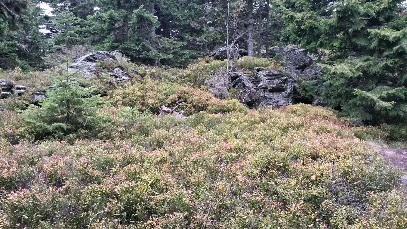 lh5.googleusercontent.com_-trmi24heqgc_ullmzb8aeyi_aaaaaaaarc4_paco0tnvgrk_w1353-h761-no_20131012_131918_richtone_2528hdr_2529.jpg lh5.googleusercontent.com_-trmi24heqgc_ullmzb8aeyi_aaaaaaaarc4_paco0tnvgrk_w1353-h761-no_20131012_131918_richtone_2528hdr_2529.jpg