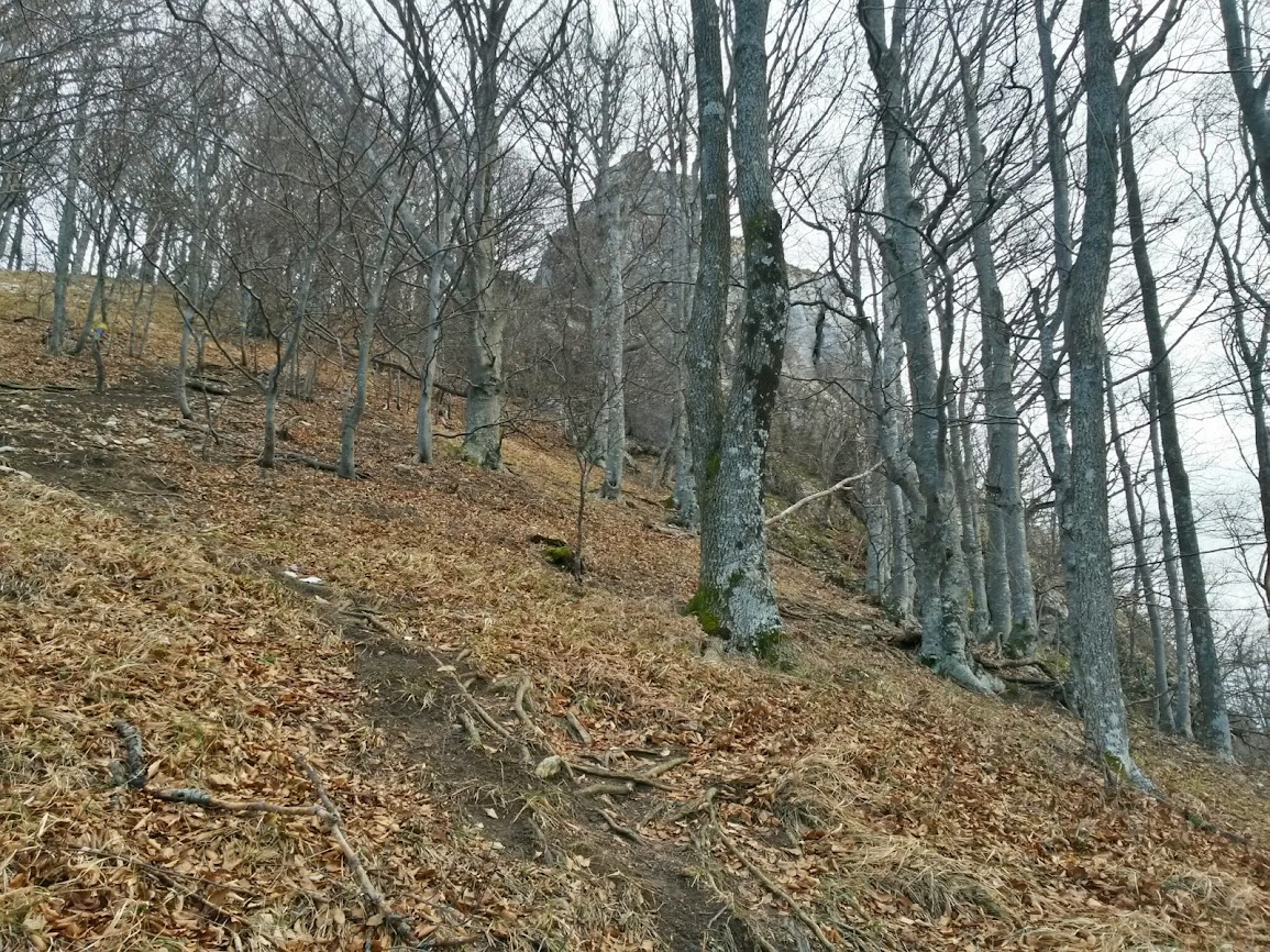 lh3.googleusercontent.com_-6prlqjlmkgu_uuz2tkpr0ci_aaaaaaaau6o_a-q4dmwjqli_w1155-h866-no_20140201_101130_richtone_2528hdr_2529.jpg lh3.googleusercontent.com_-6prlqjlmkgu_uuz2tkpr0ci_aaaaaaaau6o_a-q4dmwjqli_w1155-h866-no_20140201_101130_richtone_2528hdr_2529.jpg