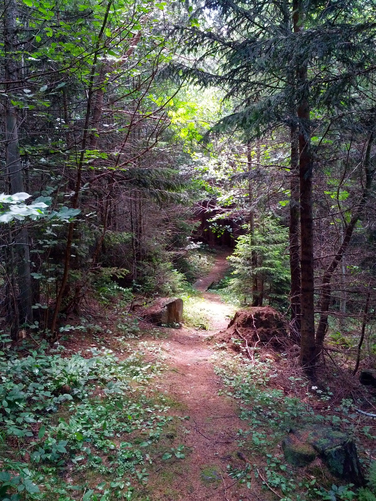 lh5.googleusercontent.com_-k6z4esjrliu_uday_6ohzui_aaaaaaaaojw_b53xtiijoxs_w1200-h1600-no_img_20130630_112447.jpg lh5.googleusercontent.com_-k6z4esjrliu_uday_6ohzui_aaaaaaaaojw_b53xtiijoxs_w1200-h1600-no_img_20130630_112447.jpg