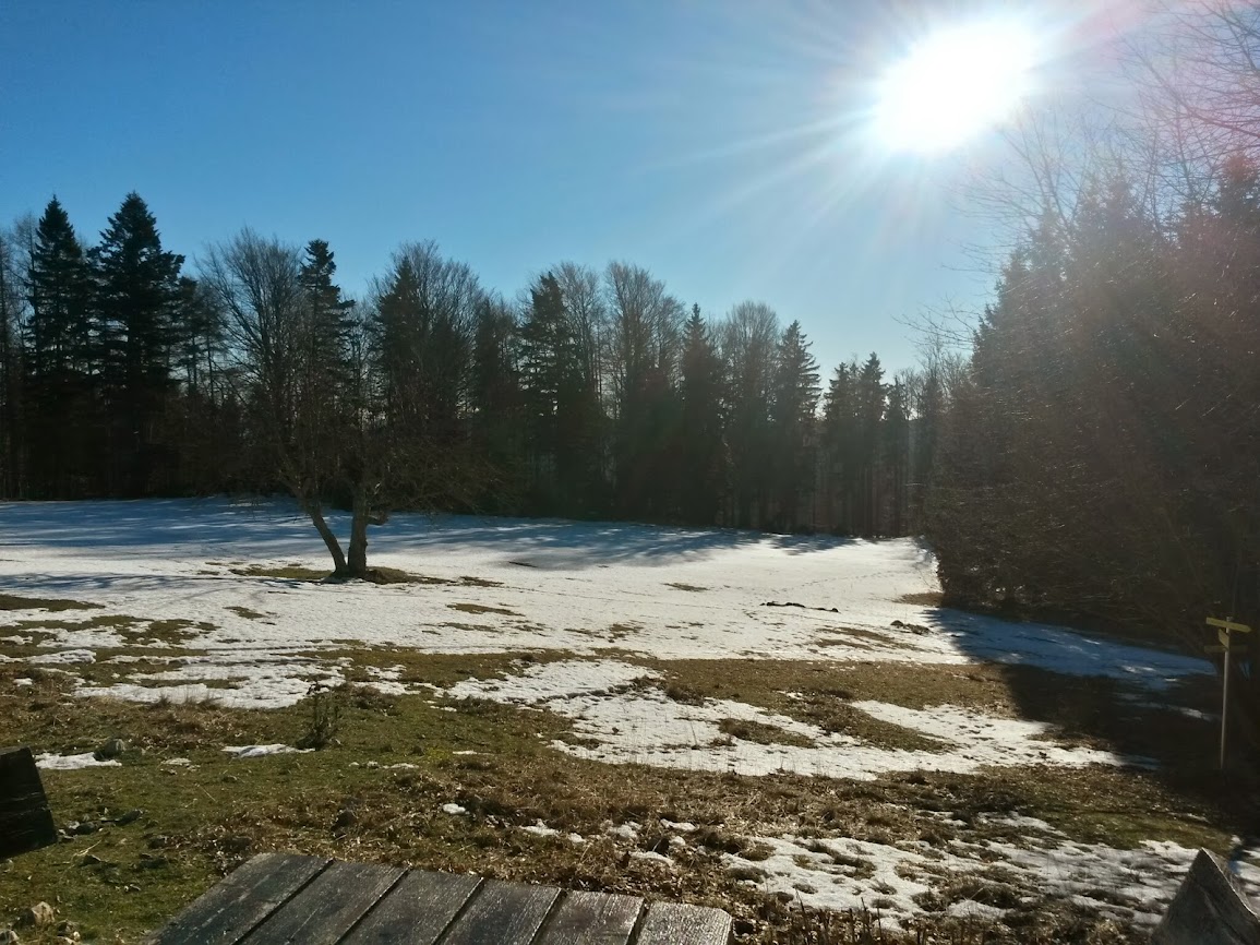 lh4.googleusercontent.com_-nty5s6bra78_urmj-vf_ypi_aaaaaaaat1w_y8mxipj4lia_w1155-h866-no_20131224_103816_richtone_2528hdr_2529.jpg lh4.googleusercontent.com_-nty5s6bra78_urmj-vf_ypi_aaaaaaaat1w_y8mxipj4lia_w1155-h866-no_20131224_103816_richtone_2528hdr_2529.jpg