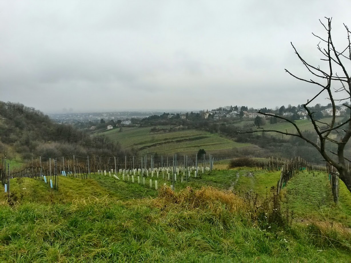 lh6.googleusercontent.com_-i8cdvc6kcmq_vil4z5km0vi_aaaaaaaafws_dssncl9ugqg_w1228-h921-no_20141206_124756_richtone_28hdr_29.jpg lh6.googleusercontent.com_-i8cdvc6kcmq_vil4z5km0vi_aaaaaaaafws_dssncl9ugqg_w1228-h921-no_20141206_124756_richtone_28hdr_29.jpg