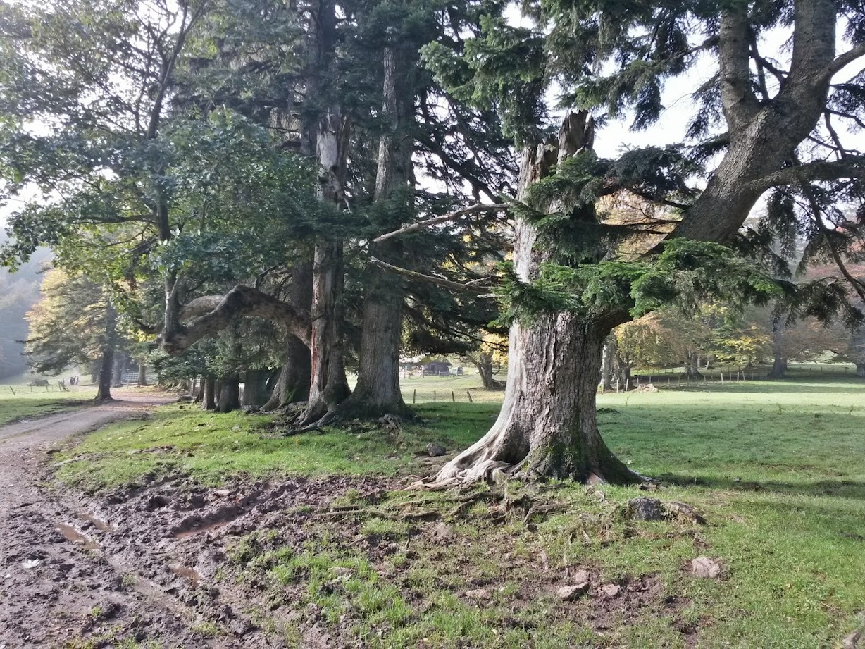 lh4.googleusercontent.com_-t7a74kkcsfi_vdbbcn4zl4i_aaaaaaaad-0_s9nkdsvt2kc_w1228-h921-no_20141004_110928_richtone_28hdr_29.jpg lh4.googleusercontent.com_-t7a74kkcsfi_vdbbcn4zl4i_aaaaaaaad-0_s9nkdsvt2kc_w1228-h921-no_20141004_110928_richtone_28hdr_29.jpg