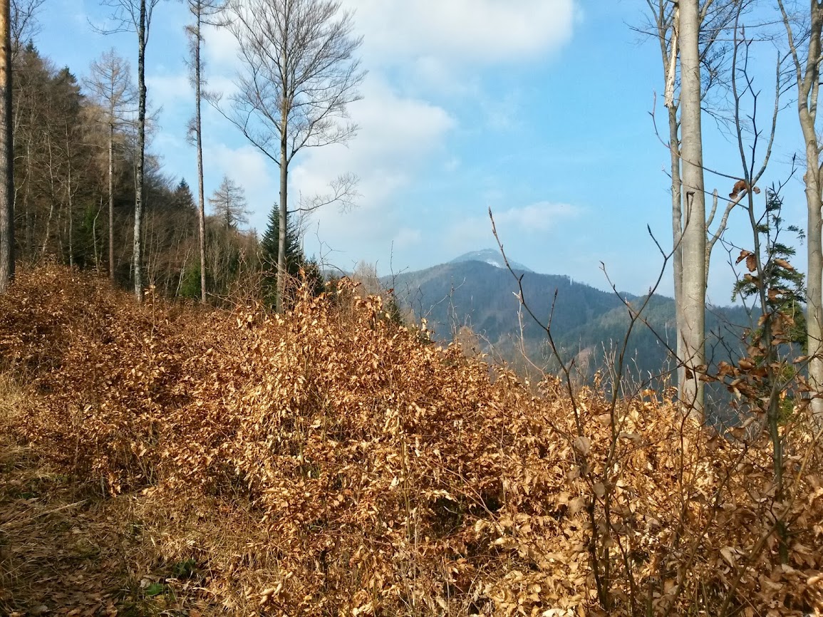 lh3.googleusercontent.com_--ifx0nbi-kq_uxrbsjr38mi_aaaaaaaavoo_2idtm0t23bw_w1155-h866-no_20140308_095443_richtone_2528hdr_2529.jpg lh3.googleusercontent.com_--ifx0nbi-kq_uxrbsjr38mi_aaaaaaaavoo_2idtm0t23bw_w1155-h866-no_20140308_095443_richtone_2528hdr_2529.jpg