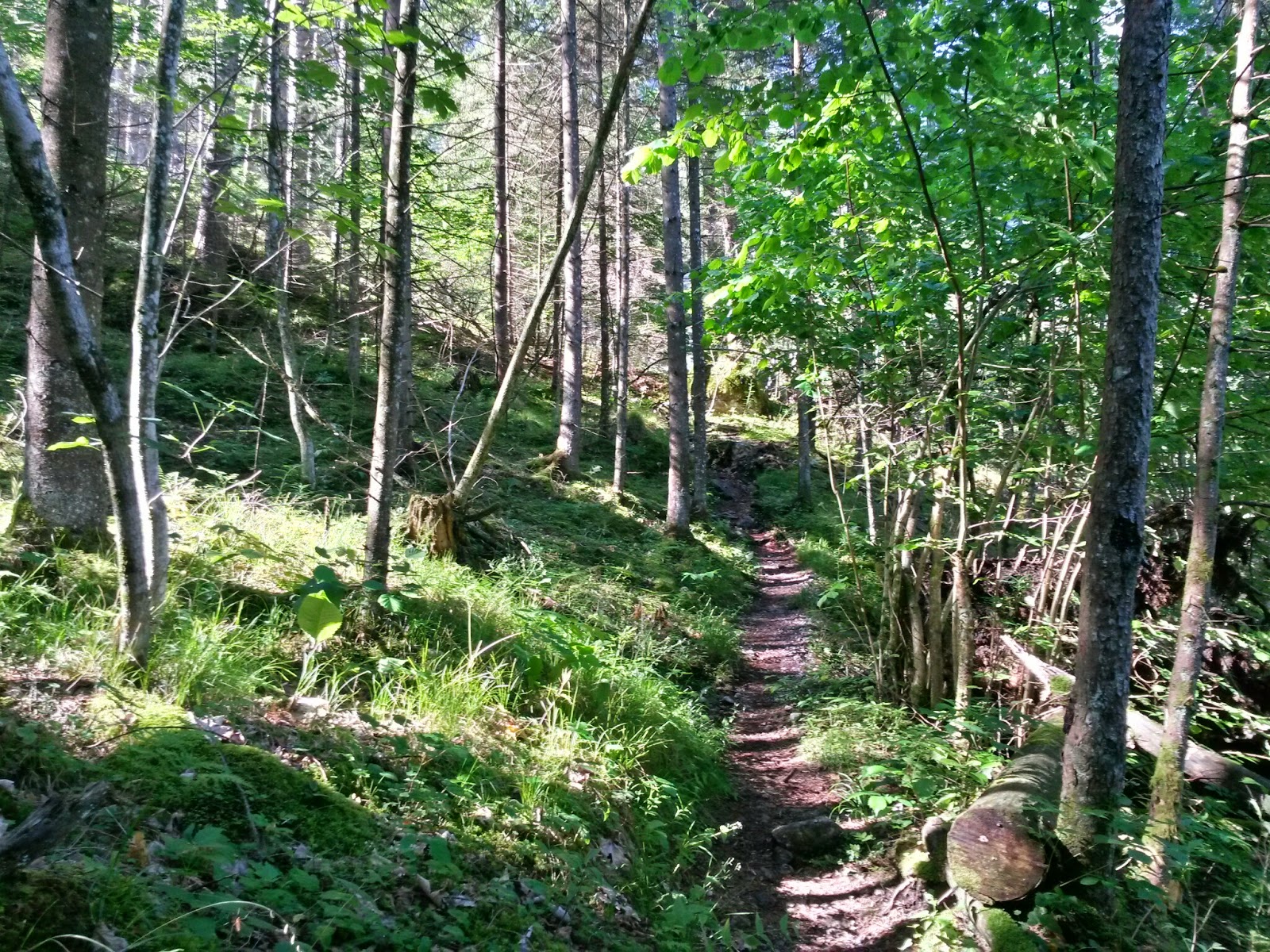 lh6.googleusercontent.com_-yxfi96lhbgg_u5ckc049bdi_aaaaaaaazno_wpuxnwpr-uu_w1600-h1200-no_20140610_085639_richtone_2528hdr_2529.jpg lh6.googleusercontent.com_-yxfi96lhbgg_u5ckc049bdi_aaaaaaaazno_wpuxnwpr-uu_w1600-h1200-no_20140610_085639_richtone_2528hdr_2529.jpg