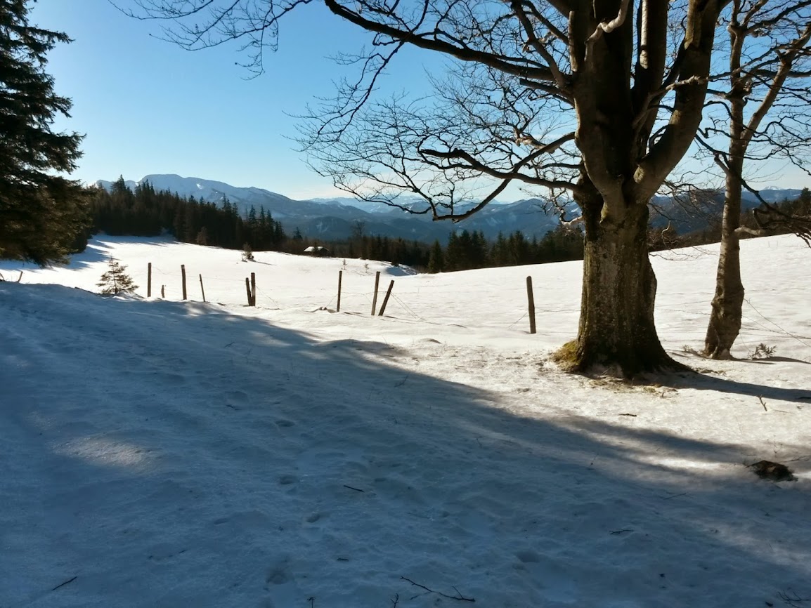 lh4.googleusercontent.com_-9p7sw0a142y_uq3xdigktfi_aaaaaaaato4_b9eg6sbbc8u_w1154-h866-no_20131215_124356_richtone_2528hdr_2529.jpg lh4.googleusercontent.com_-9p7sw0a142y_uq3xdigktfi_aaaaaaaato4_b9eg6sbbc8u_w1154-h866-no_20131215_124356_richtone_2528hdr_2529.jpg