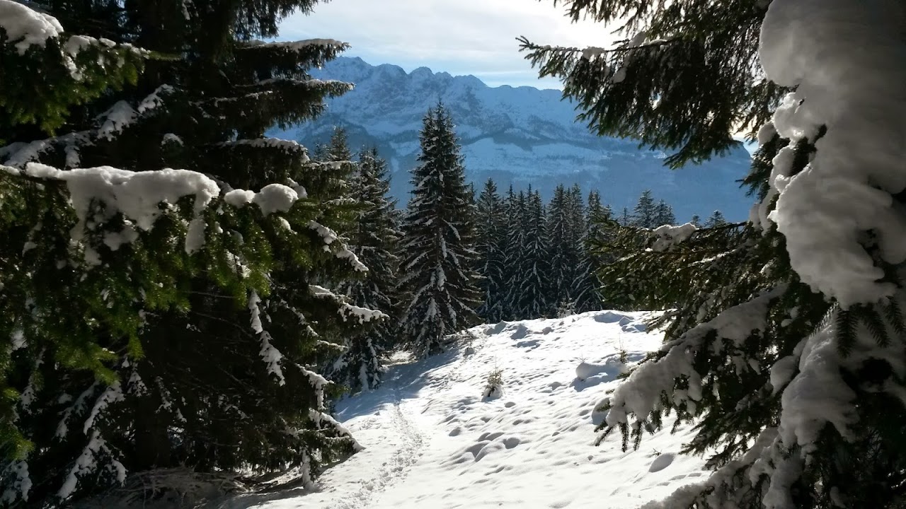 lh6.googleusercontent.com_-tl75jllsacw_up3pdp0fl9i_aaaaaaaas-g_7rq6d2n_y84_w1280-h720-no_20131203_111353.jpg lh6.googleusercontent.com_-tl75jllsacw_up3pdp0fl9i_aaaaaaaas-g_7rq6d2n_y84_w1280-h720-no_20131203_111353.jpg