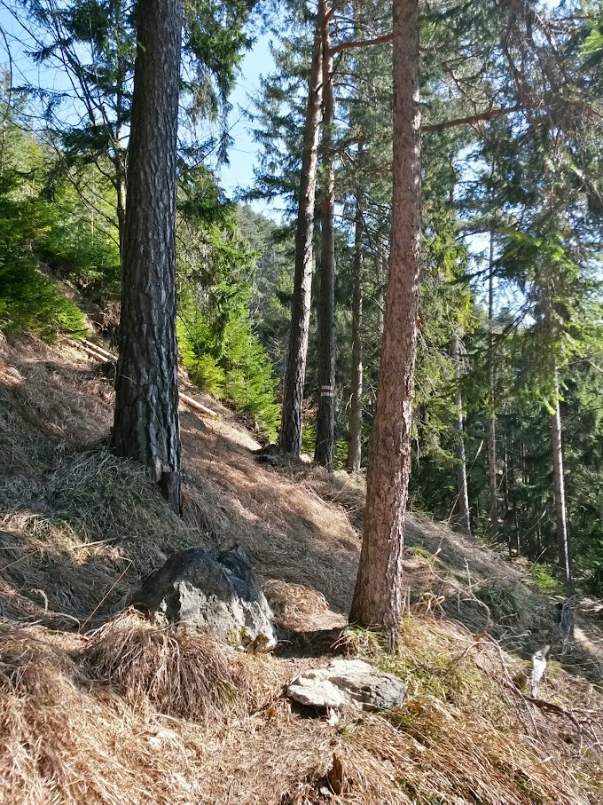 lh3.googleusercontent.com_-twvq7w5-aha_vq2gfhyuybi_aaaaaaaaiby_3_syhjygyi_w680-h907-no_20150321_100638_richtone_28hdr_29.jpg lh3.googleusercontent.com_-twvq7w5-aha_vq2gfhyuybi_aaaaaaaaiby_3_syhjygyi_w680-h907-no_20150321_100638_richtone_28hdr_29.jpg