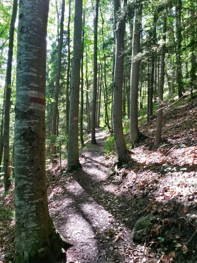 lh5.googleusercontent.com_-wkiphv-lkso_u4cg5x1xoei_aaaaaaaayp0_advl7jskrjk_w650-h866-no_20140524_093818_richtone_2528hdr_2529.jpg lh5.googleusercontent.com_-wkiphv-lkso_u4cg5x1xoei_aaaaaaaayp0_advl7jskrjk_w650-h866-no_20140524_093818_richtone_2528hdr_2529.jpg