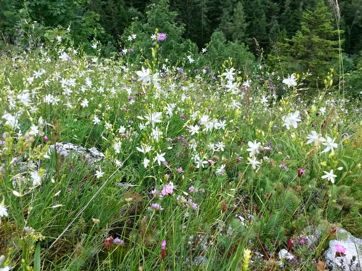 lh3.googleusercontent.com_-vtxybjp9b9s_u9o0thu73pi_aaaaaaaabbe_vaokeq1iyye_w1228-h921-no_20140726_133219_richtone_2528hdr_2529.jpg lh3.googleusercontent.com_-vtxybjp9b9s_u9o0thu73pi_aaaaaaaabbe_vaokeq1iyye_w1228-h921-no_20140726_133219_richtone_2528hdr_2529.jpg