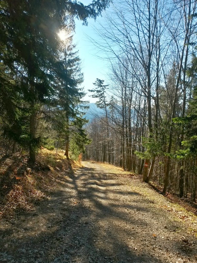 lh5.googleusercontent.com_-meqy7d_wlgq_urmkjm6ldki_aaaaaaaat24_yn_je_uabti_w650-h866-no_20131224_111208_richtone_2528hdr_2529.jpg lh5.googleusercontent.com_-meqy7d_wlgq_urmkjm6ldki_aaaaaaaat24_yn_je_uabti_w650-h866-no_20131224_111208_richtone_2528hdr_2529.jpg